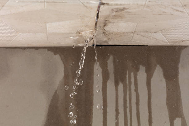 Professional Water Extraction technician working in Town Creek, AL